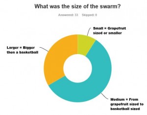 swarm size