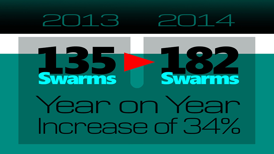 2013-to-2014 Swarm Numbers